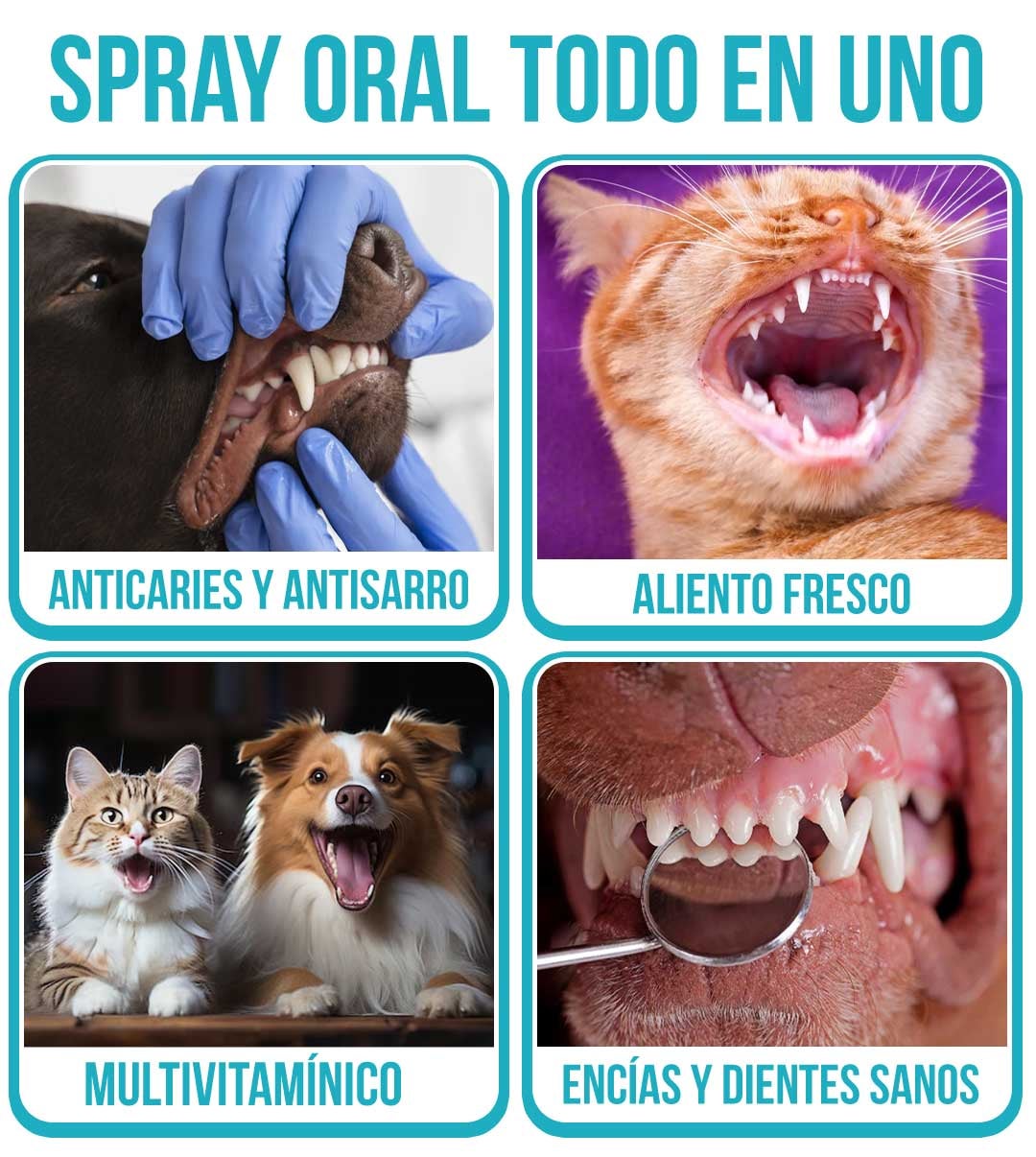 HAPPY PETS® SPARAY 120ML ORAL LIMPIADOR PARA PERRO Y GATOS TU MEJOR AMIGO🐱🐶