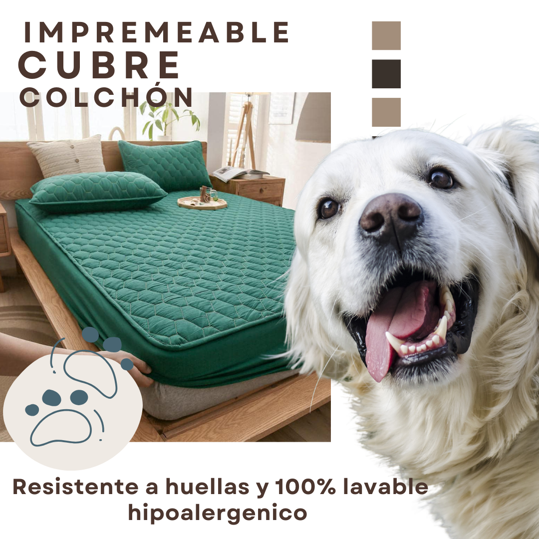 Protecplus® Cubre Colchón Impermeable💧 Anti ácaros🔥+ 2 Fundas GRATIS