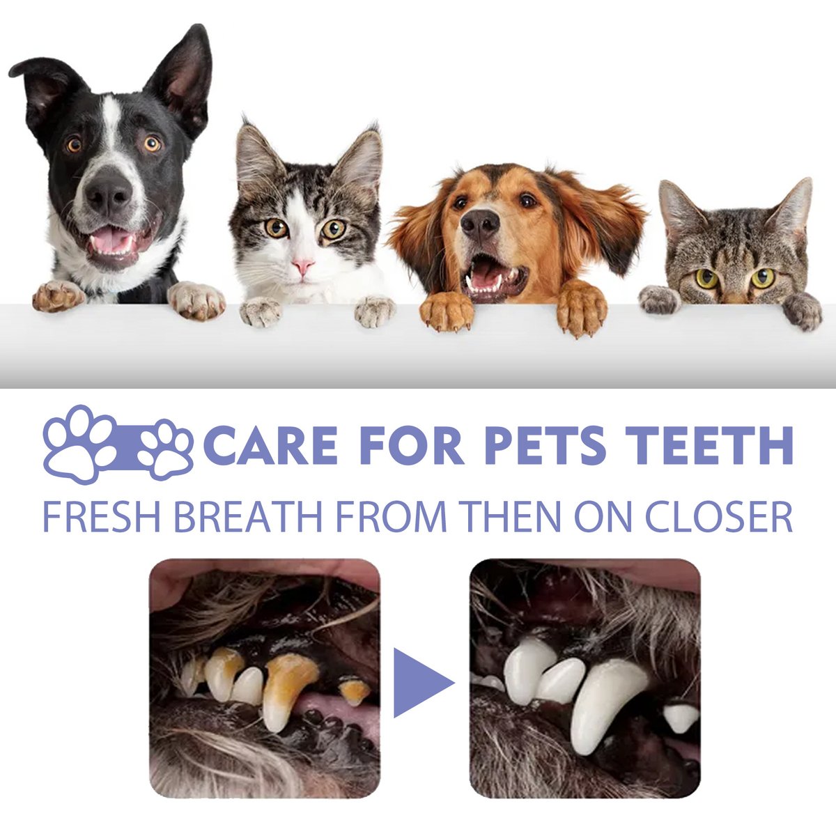 HAPPY PETS® SPARAY 120ML ORAL LIMPIADOR PARA PERRO Y GATOS TU MEJOR AMIGO🐱🐶