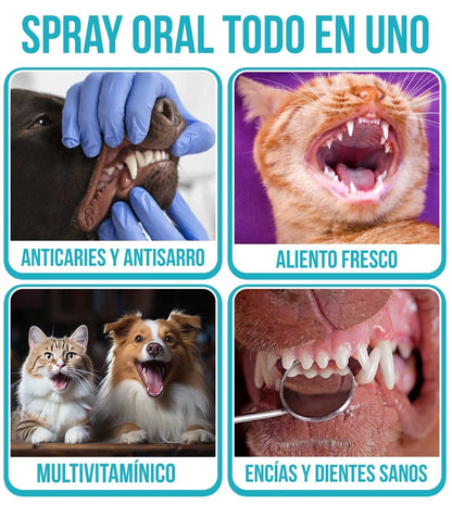 HAPPY PETS®  SPARAY 120ML ORAL LIMPIADOR  PARA PERRO Y GATOS TU MEJOR AMIGO🐱🐶