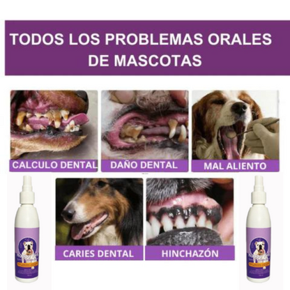 HAPPY PETS®  SPARAY 120ML ORAL LIMPIADOR  PARA PERRO Y GATOS TU MEJOR AMIGO🐱🐶